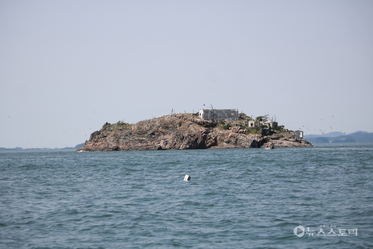 충남 서천군 노루섬이 저어새 등의 국제적 멸종위기종의 생태섬으로 자리를 잡아가고 있다. ⓒ서천지속협