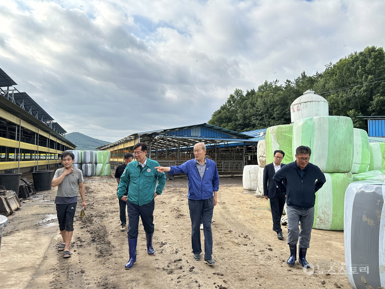 서천축협이 최근 집중호우에 따른 피해가 속출한 가운데 축산농가 피해 대응에 총력을 기울이고 있다. ⓒ서천축협