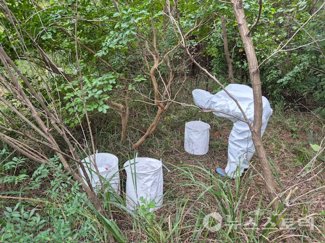 충남보건환경연구원이 ‘참진드기 감시사업’ 결과 중증열성혈소판감소증후군(SFTS) 병원체는 검출되지 않았다. ⓒ충남도