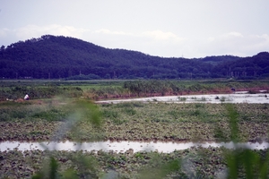 [포토]집중호우로 침수된 서천 부사방조제 농경지