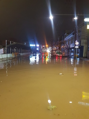 서천군 밤사이 폭우 ‘피해 속출’...도로 통제 및 곳곳 침수